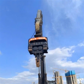 cu-rung-4133.jpg